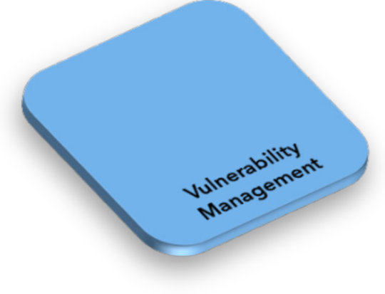 Vulnerability Management